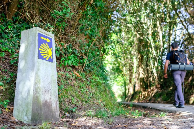 consejos camino de santiago 3