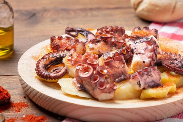Pulpo Gallega Pulpo Gallega