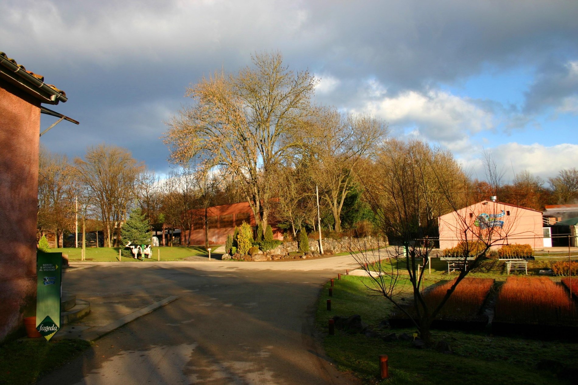 La Universidad de Harvard reconoce a La Fageda como referente en inclusión