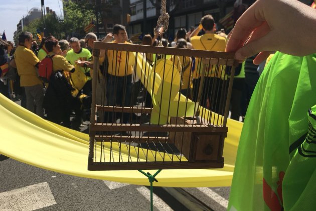 manifestación 15 En jaula Josep Castanyer manifestación 15 En jaula Josep Castanyer