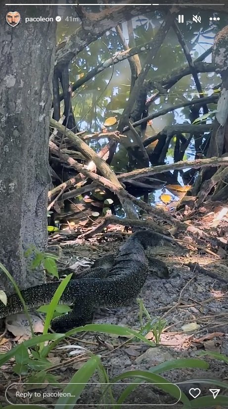 marcos paco leon5 marcos paco leon5