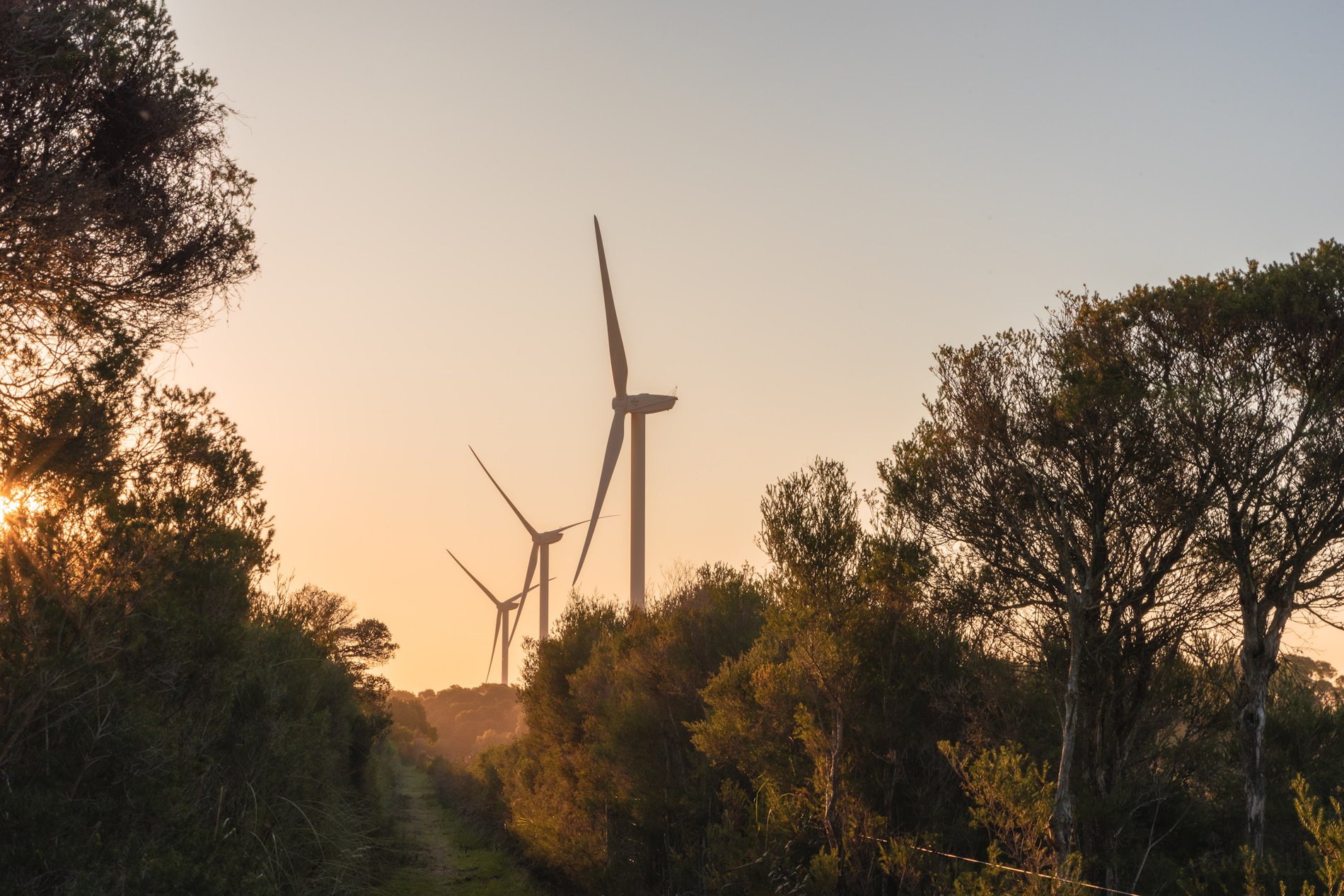 El 2023, Europa va produir més electricitat amb generadors eòlics que amb centrals de gas