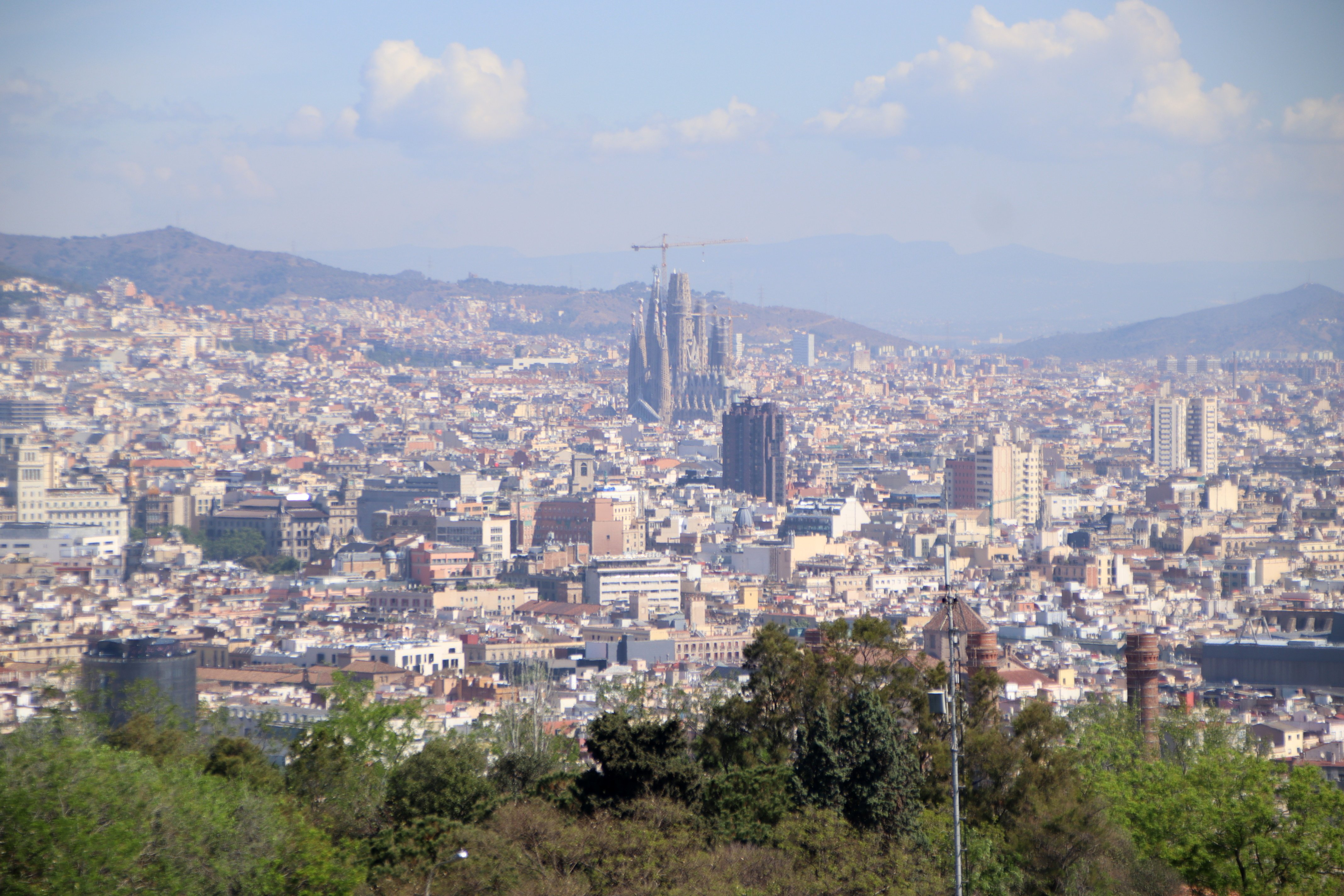 Pla de xoc a Barcelona per recuperar 10.000 pisos turístics: el 2029 no en quedarà cap