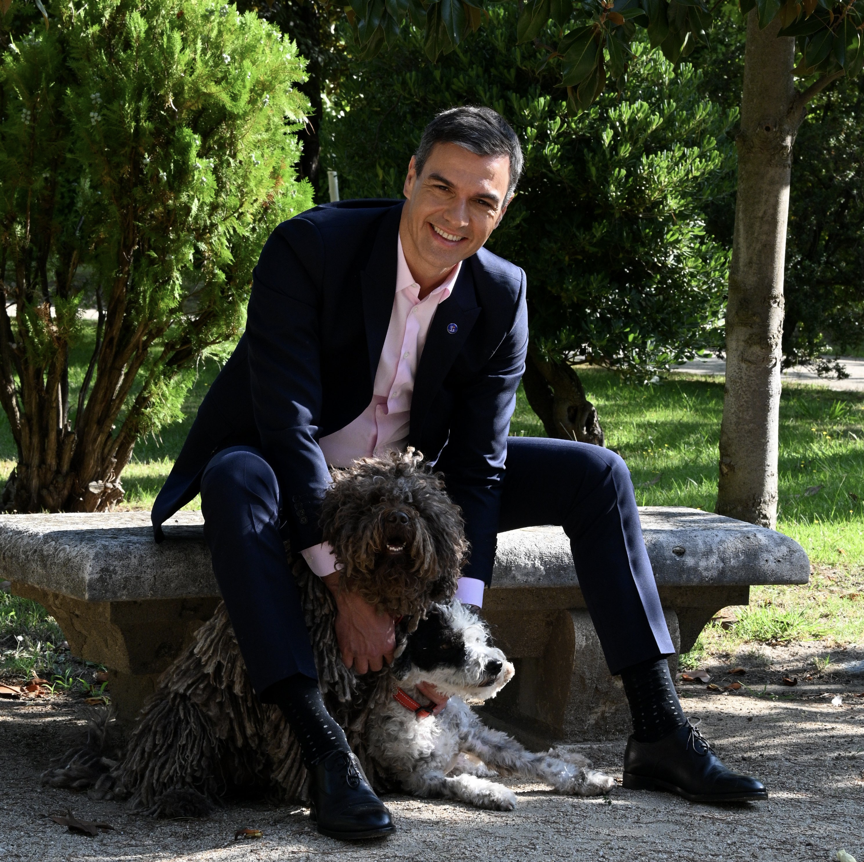 El PSOE aprofita el Dia Mundial del Gos per apuntar-se al mem de 'Perro Sanxe'