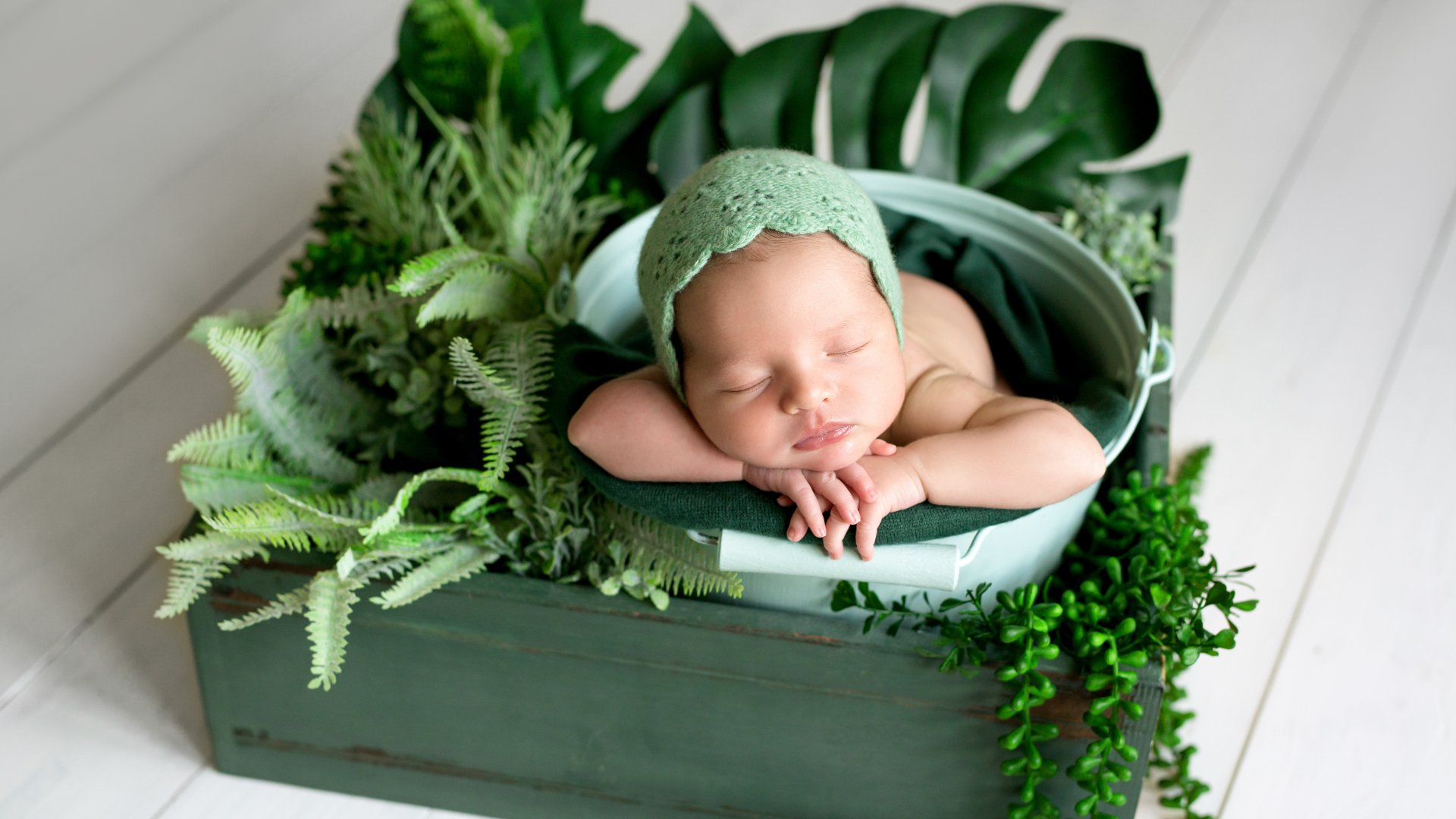 Dorm en verd: les millors 4 plantes per al dormitori que milloraran el teu descans i el teu benestar
