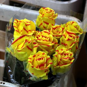 Las rosas amarillas por los presos políticos, principal novedad para este  Sant Jordi