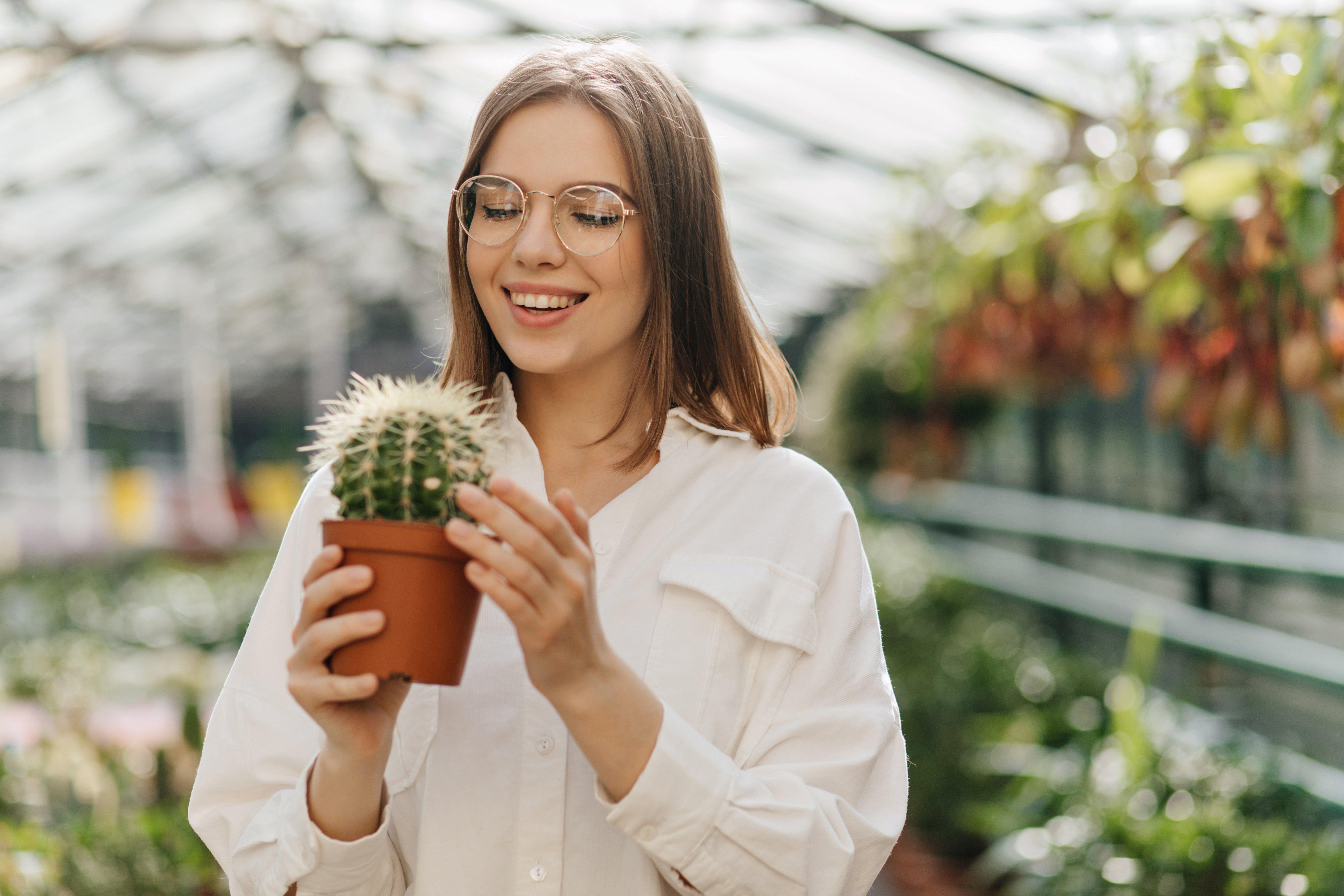 Cómo cuidar un cactus: 4 trucos que lo mantendrán saludable