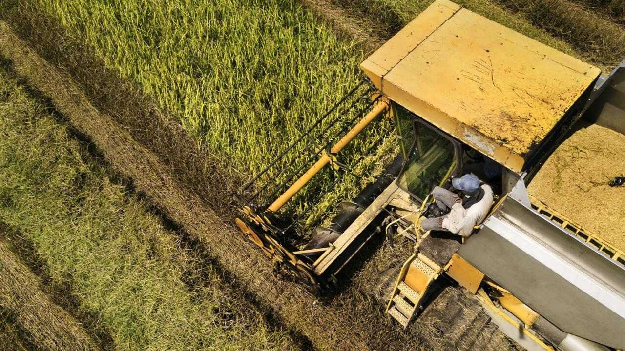 Cooperativas agrarias y Generalitat activan un sistema de recogida de fitosanitarios caducados o prohibidos