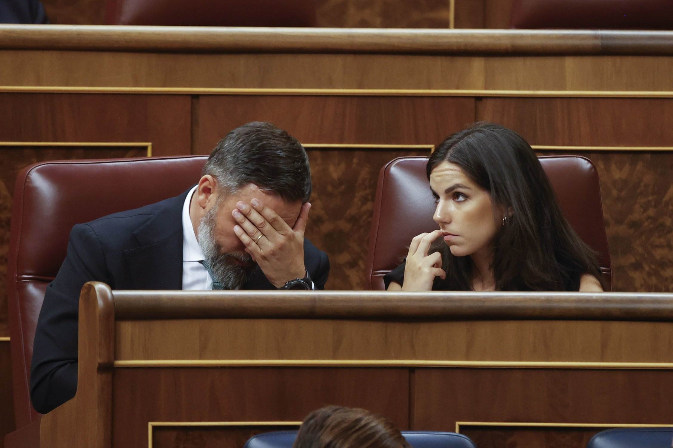 Santiago Abascal, sessio constitució del congres. EFE