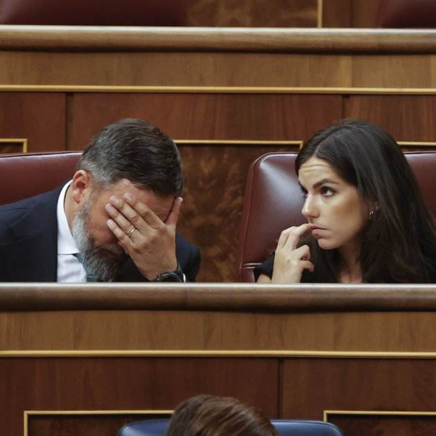 Santiago Abascal, sessio constitució del congres. EFE