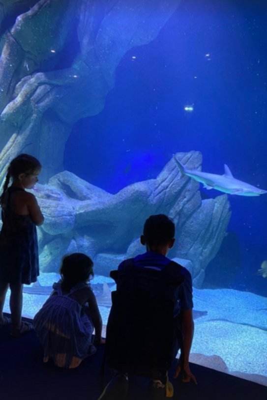Els fills de Toni Cruanyes a l'aquari de La Rochelle, Instagram