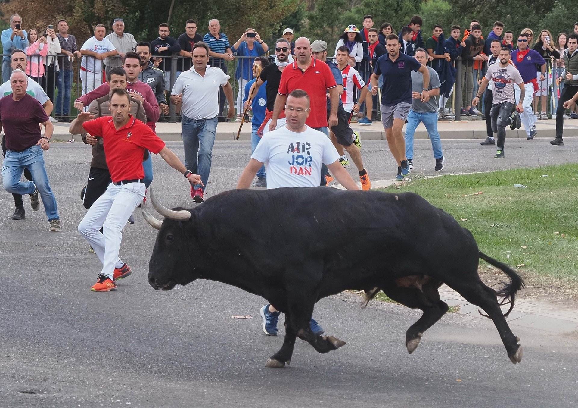 150 guardias civiles protegerán de los animalistas la fiesta medieval del Toro de la Vega en Tordesillas