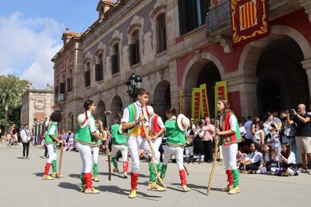 parlament diada 2023 acn