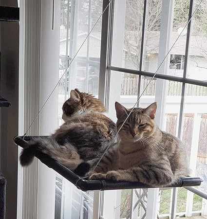 Hamaca ventana gatos