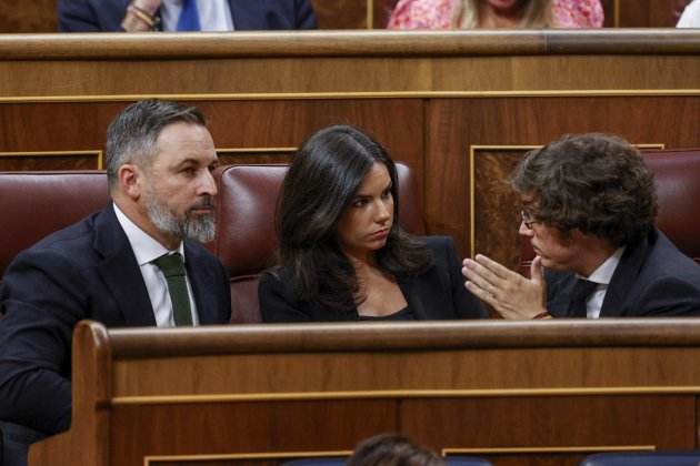 investidura feijoó congres diputats Vox Abascal Pepa Millán josé maría Figaredo / daniel gonzález / efe