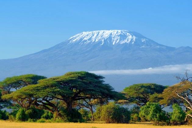 kilimanjaro desapareix