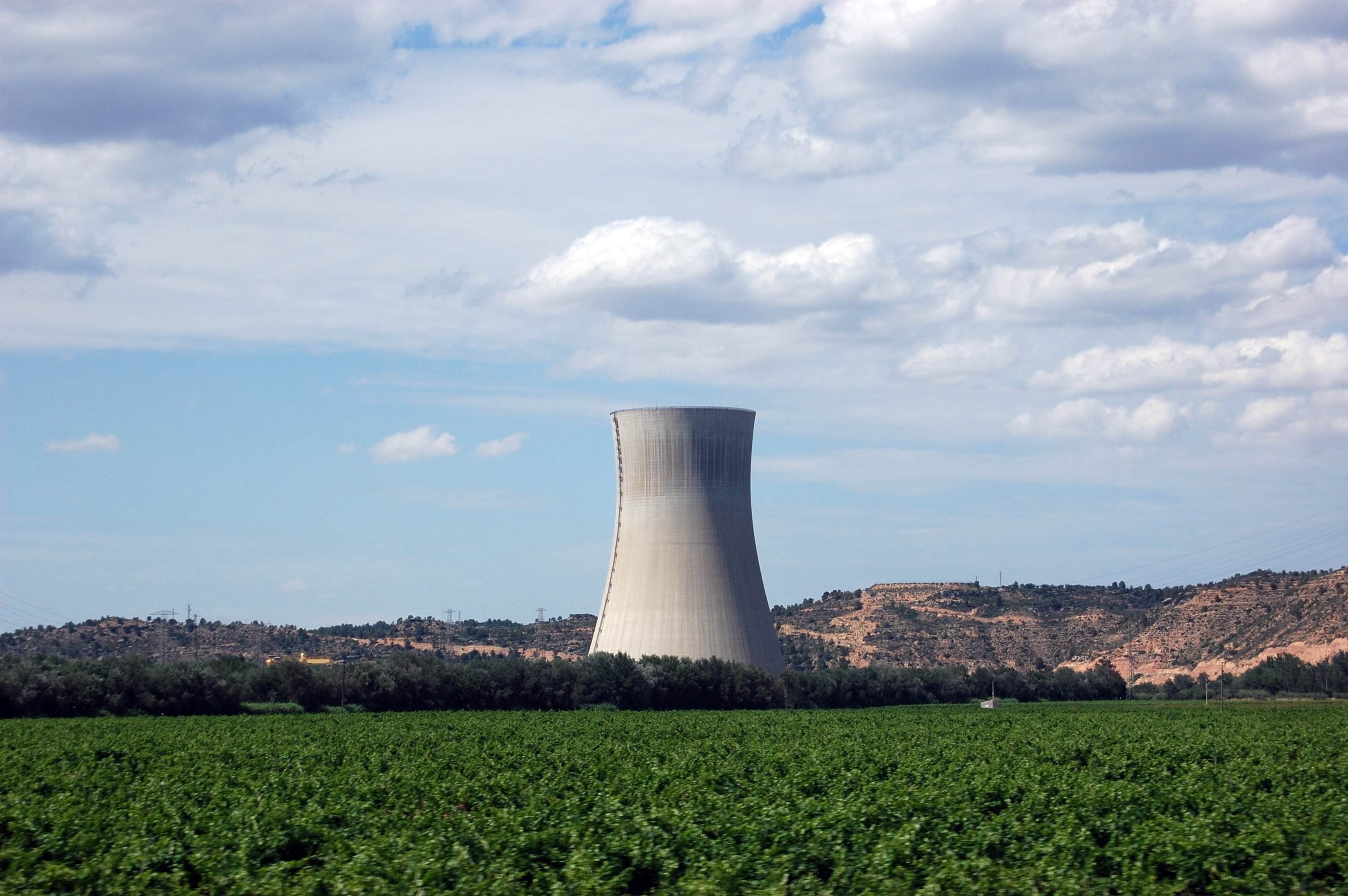 Primeras licitaciones del proceso de cierre de la central nuclear de Almaraz