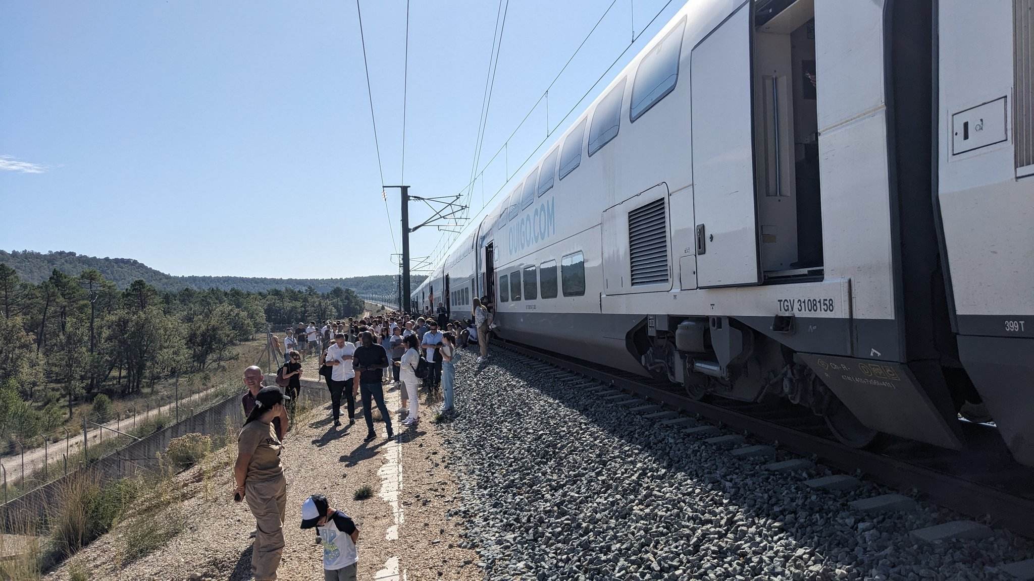 Parados los trenes de alta velocidad entre Madrid y el País Valencià por la rotura de una catenaria