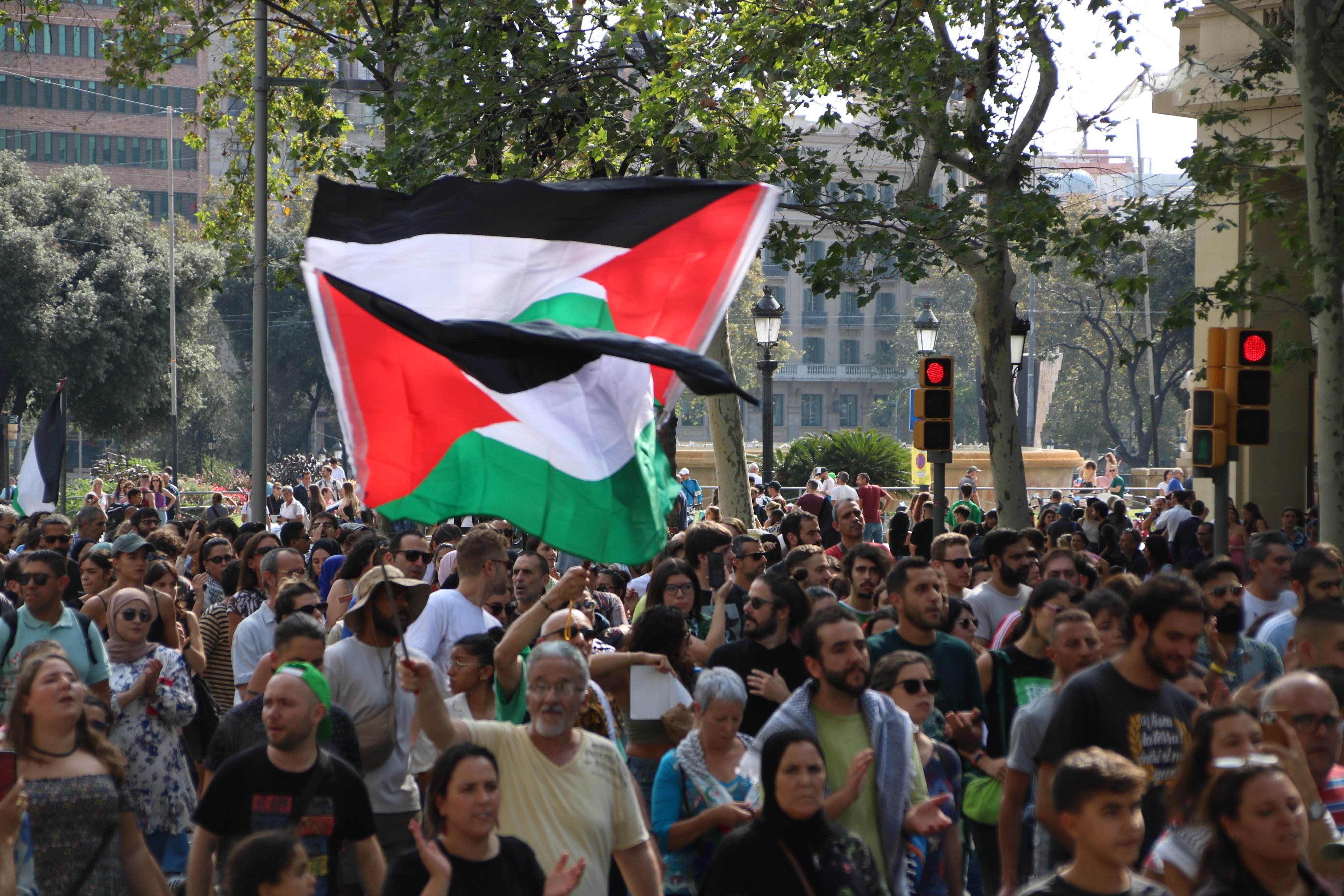 manifestacio propalestina. acn