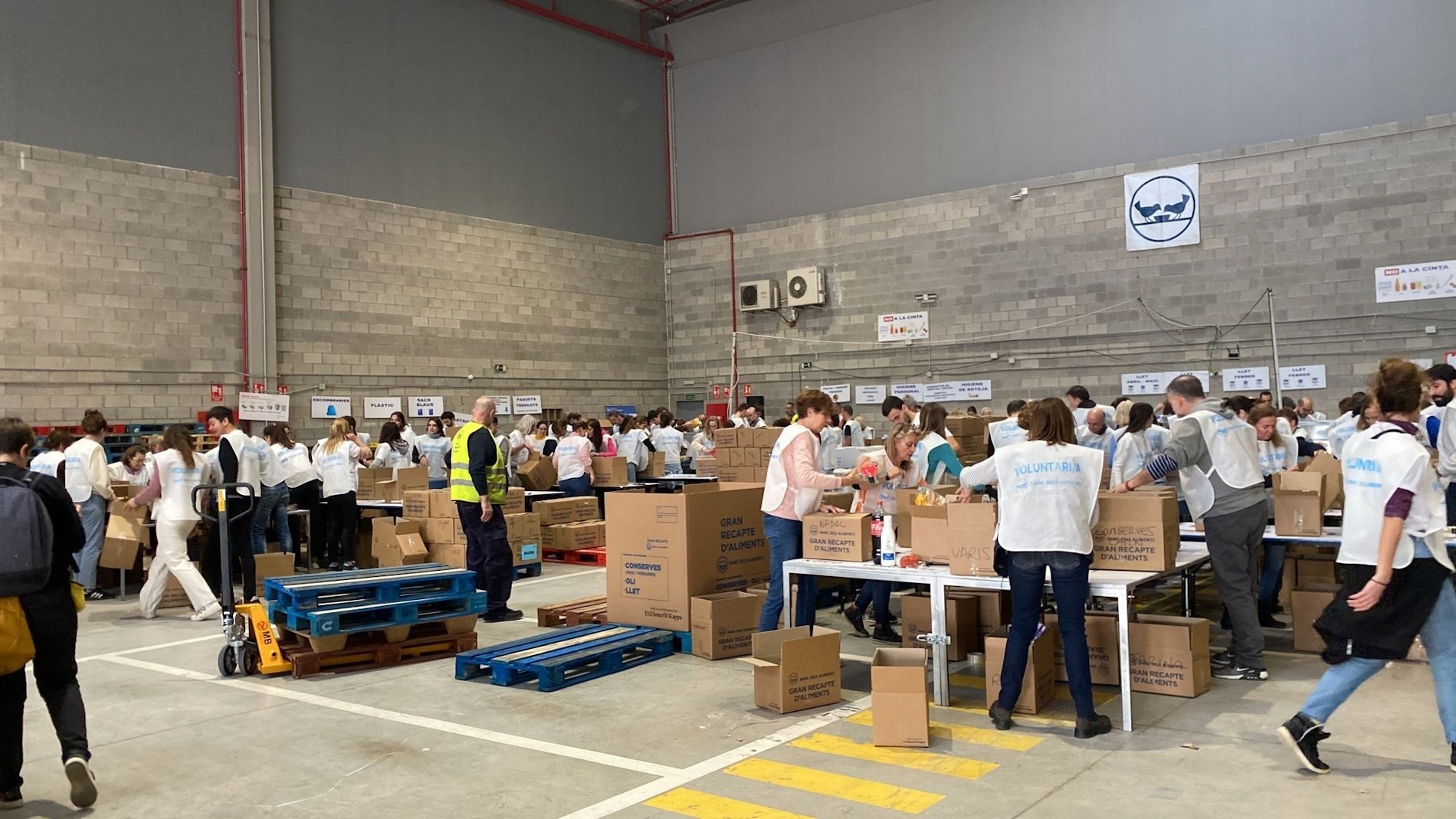 Comença el Gran Recapte d'Aliments, enguany també solidari amb els afectats per la DANA