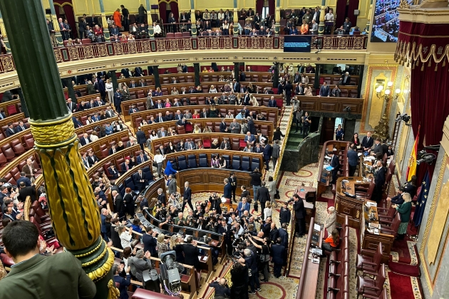 entrada pedro sánchez hemicicle investidura abel degà