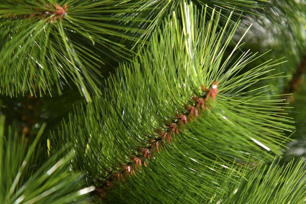 HOMCOM Árbol de Navidad 