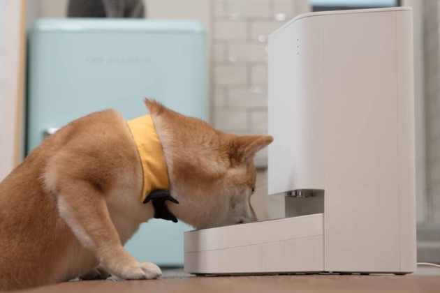 Smart Pet Food Feeder 