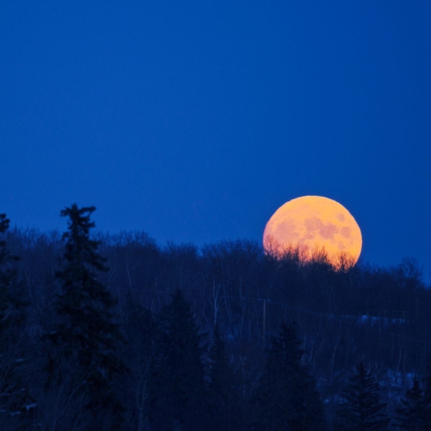 Luna Llena De Noviembre 2023: Cuando Es Y Desde Dónde Ver La Luna Del ...