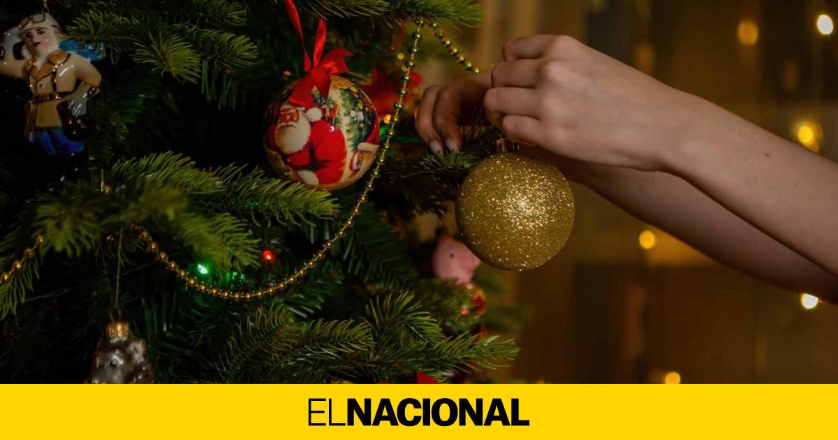 Dónde colocar el árbol de Navidad, según el Feng Shui, para tener fortuna  en 2024 (y donde NO porque da mala suerte)