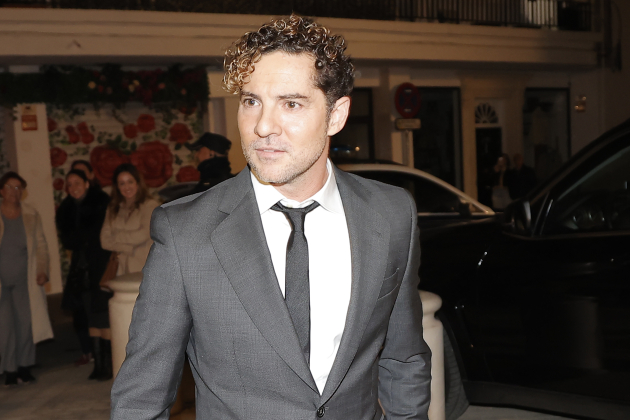 David Bisbal / GTRES