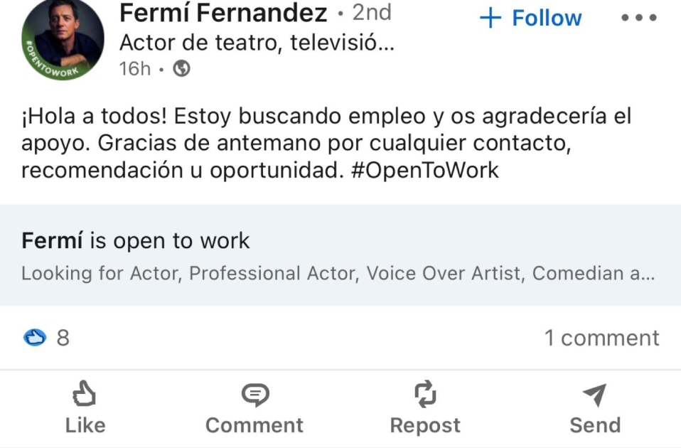 Linkedin Fermí Fernández