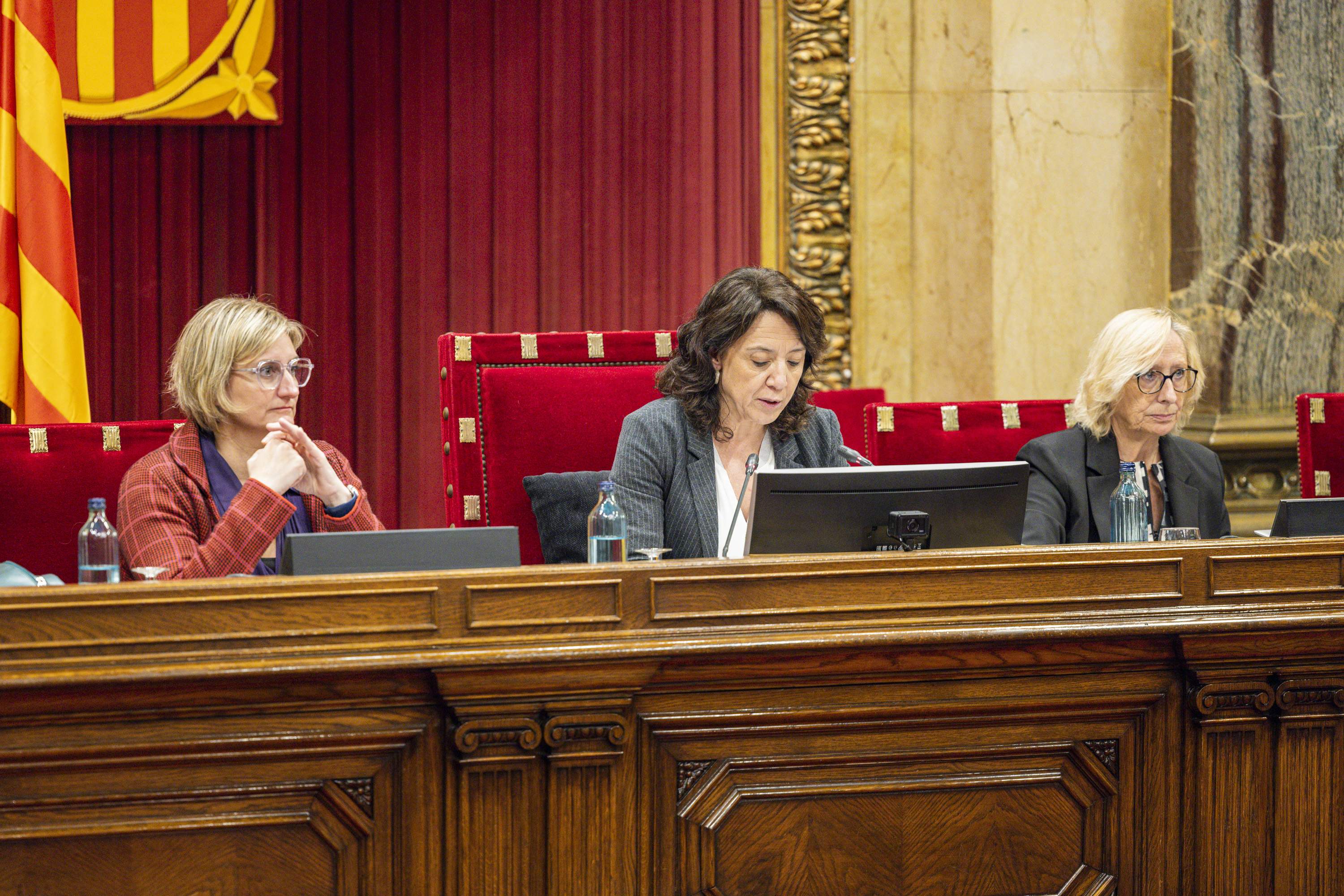 Votacions pagesia ple parlament anna erra / Foto: Carlos Baglietto