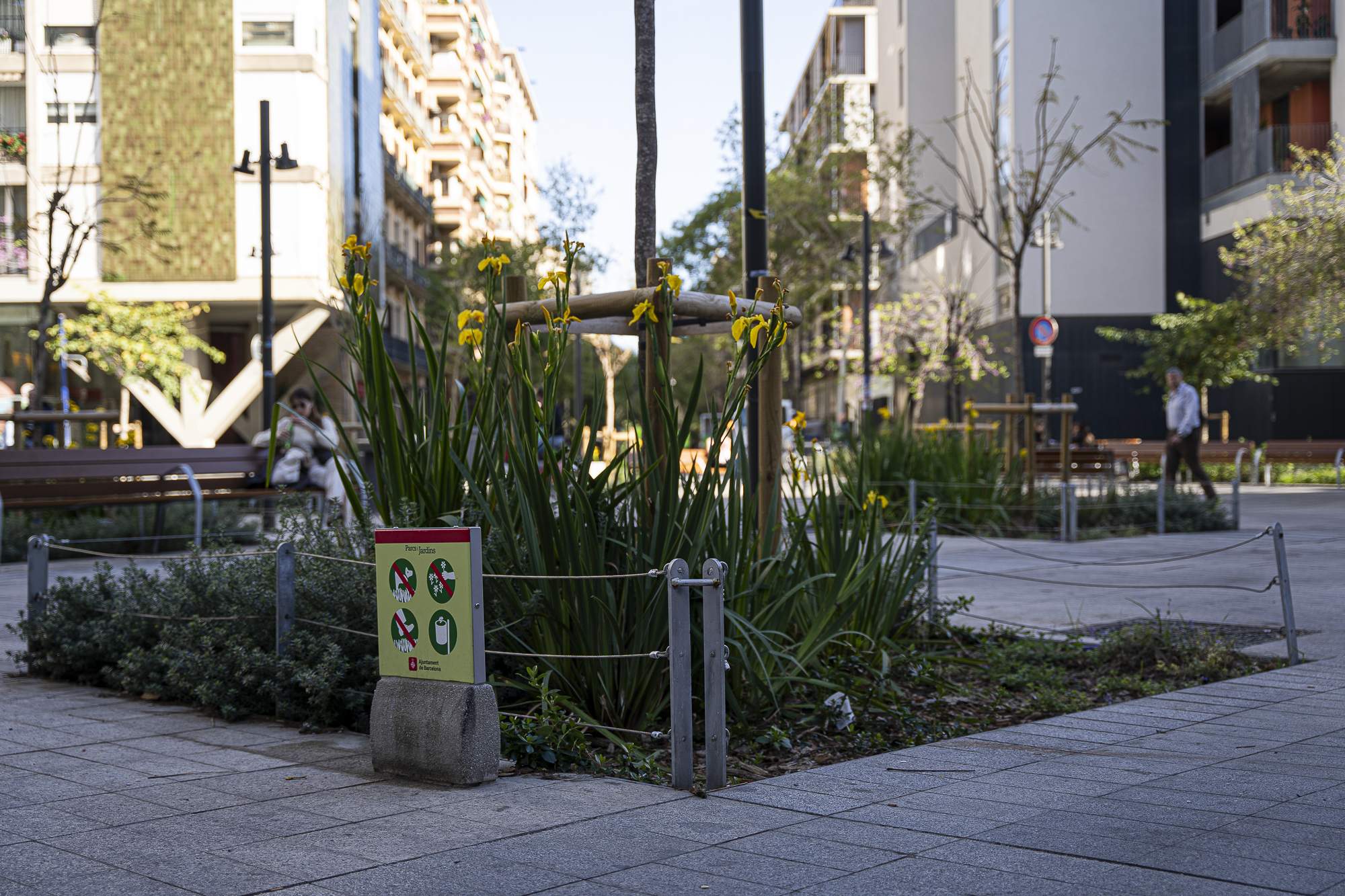 Aumentar los ejes verdes de Barcelona evitaría 178 muertes prematuras al año, según un estudio