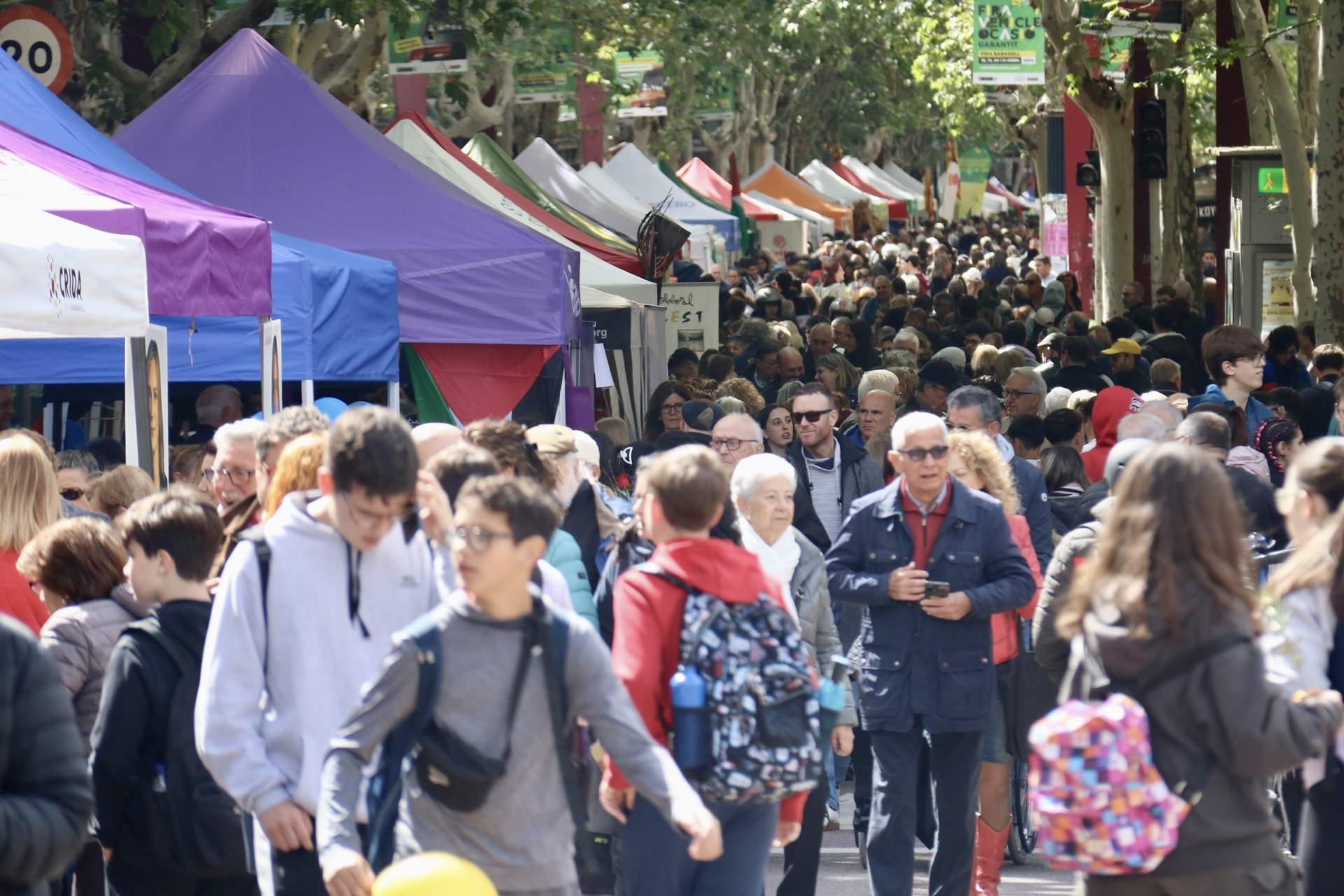 diada de Sant Jordi a Sabadell