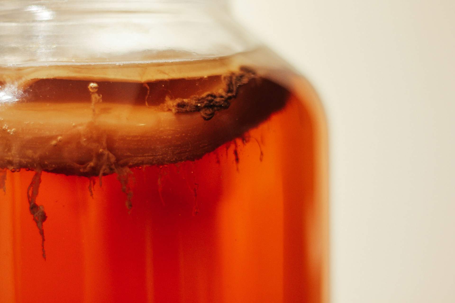 ¿Sabes qué es un scoby y por qué vive en tu kombucha?