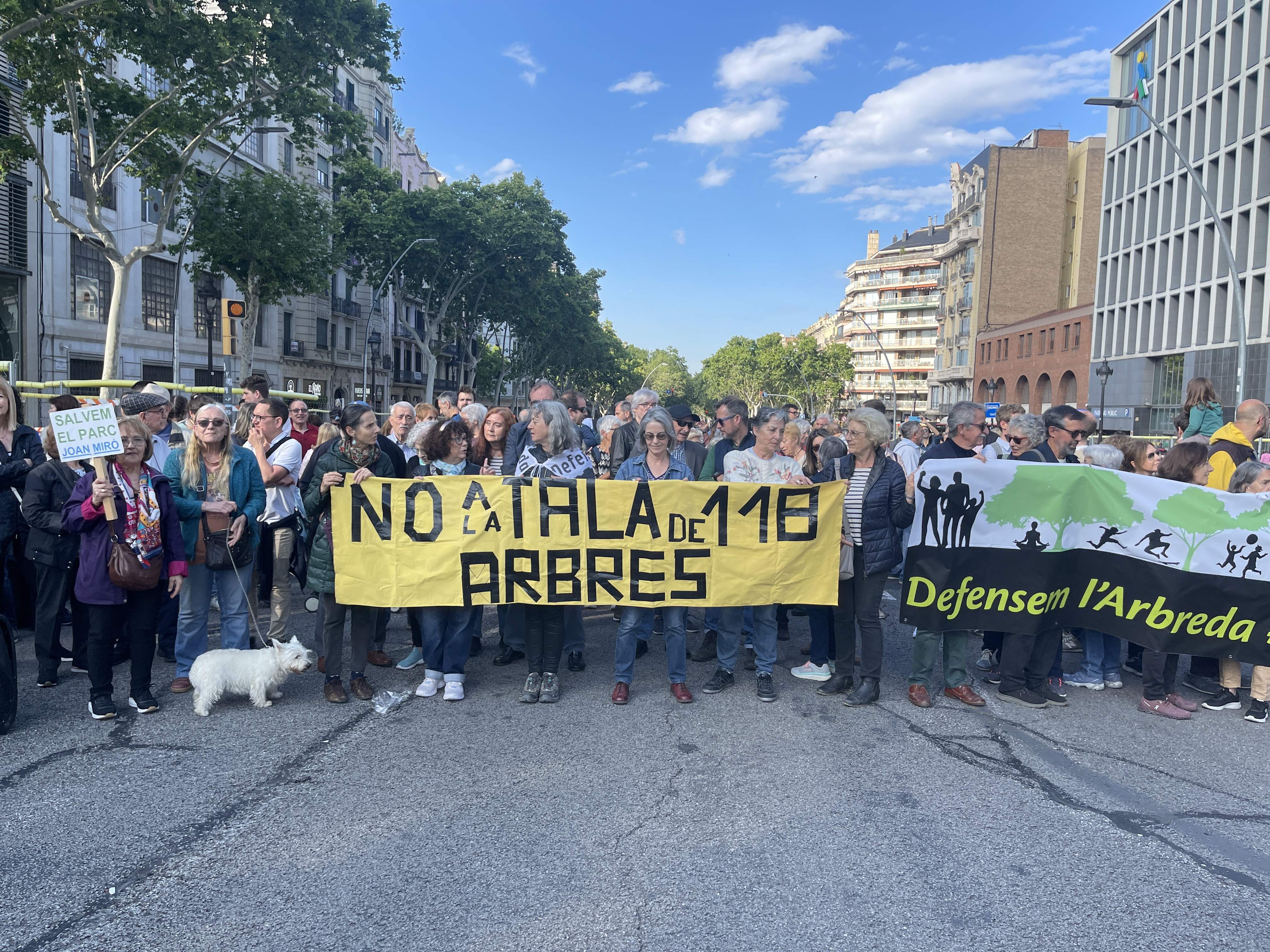 Corte de la Gran Via en defensa del parque de Joan Miró de Barcelona y contra la tala de árboles