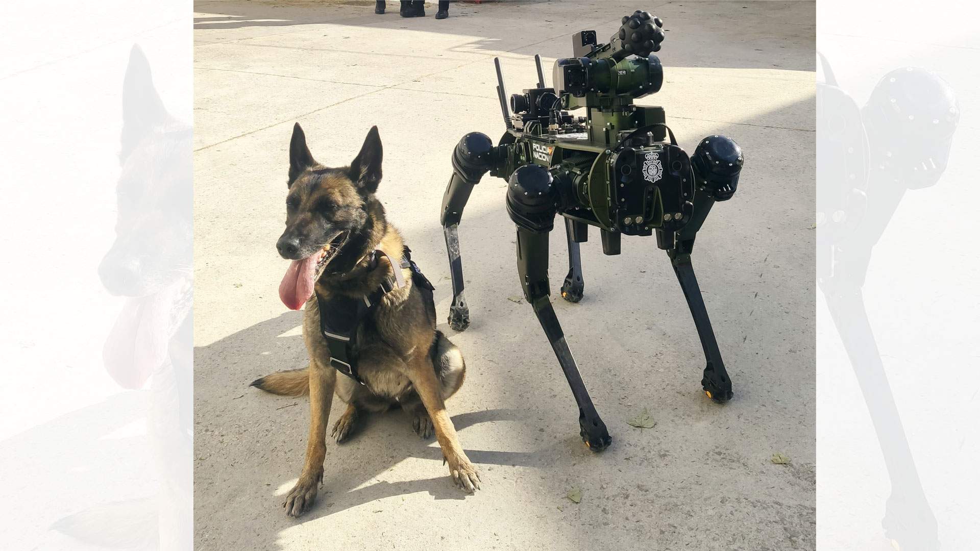 SIRA: el perro robot de la Policía Nacional