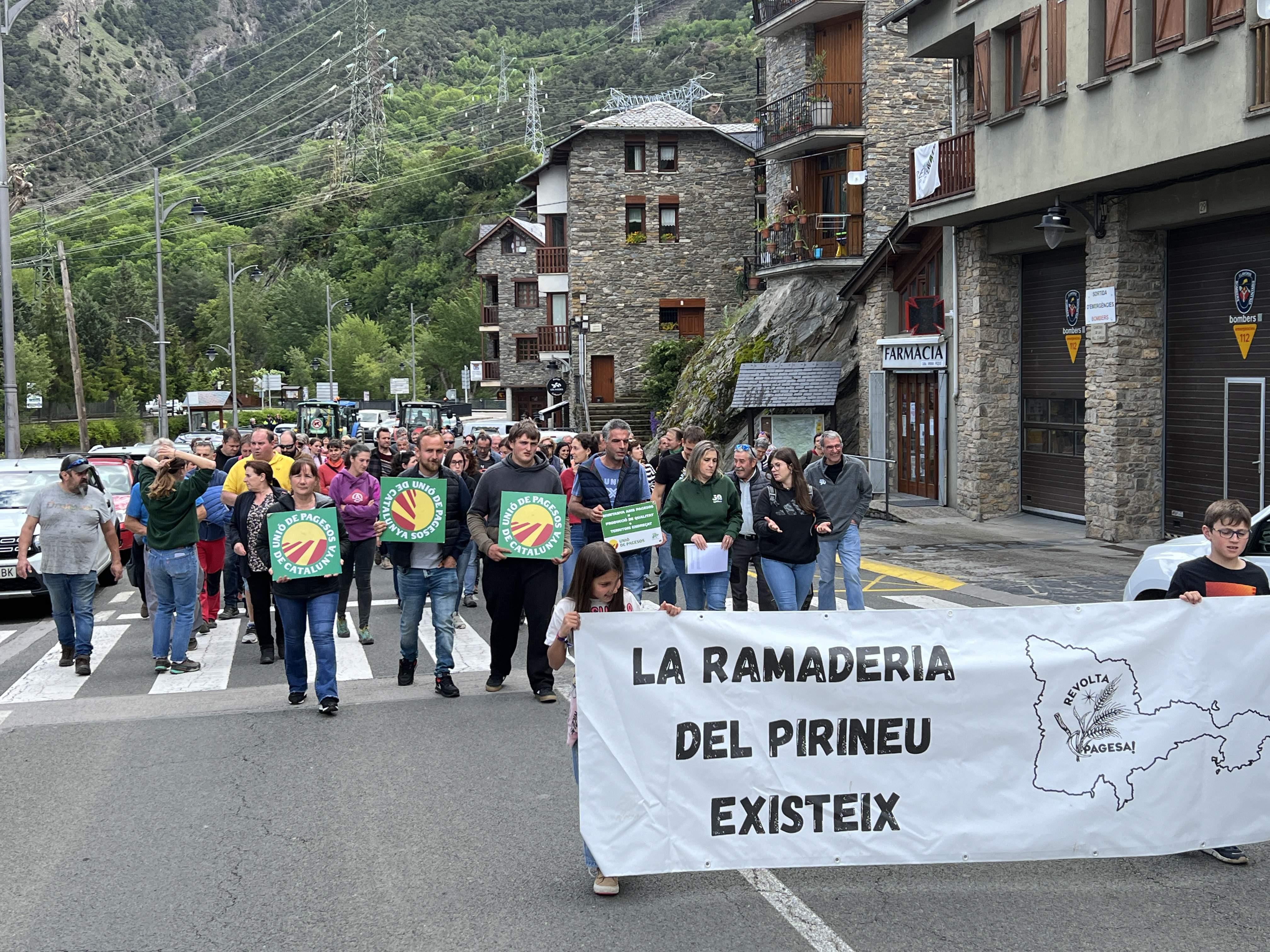 Desenes de ramaders es manifesten al Pallars per exigir una millor gestió dels ossos al Pirineu