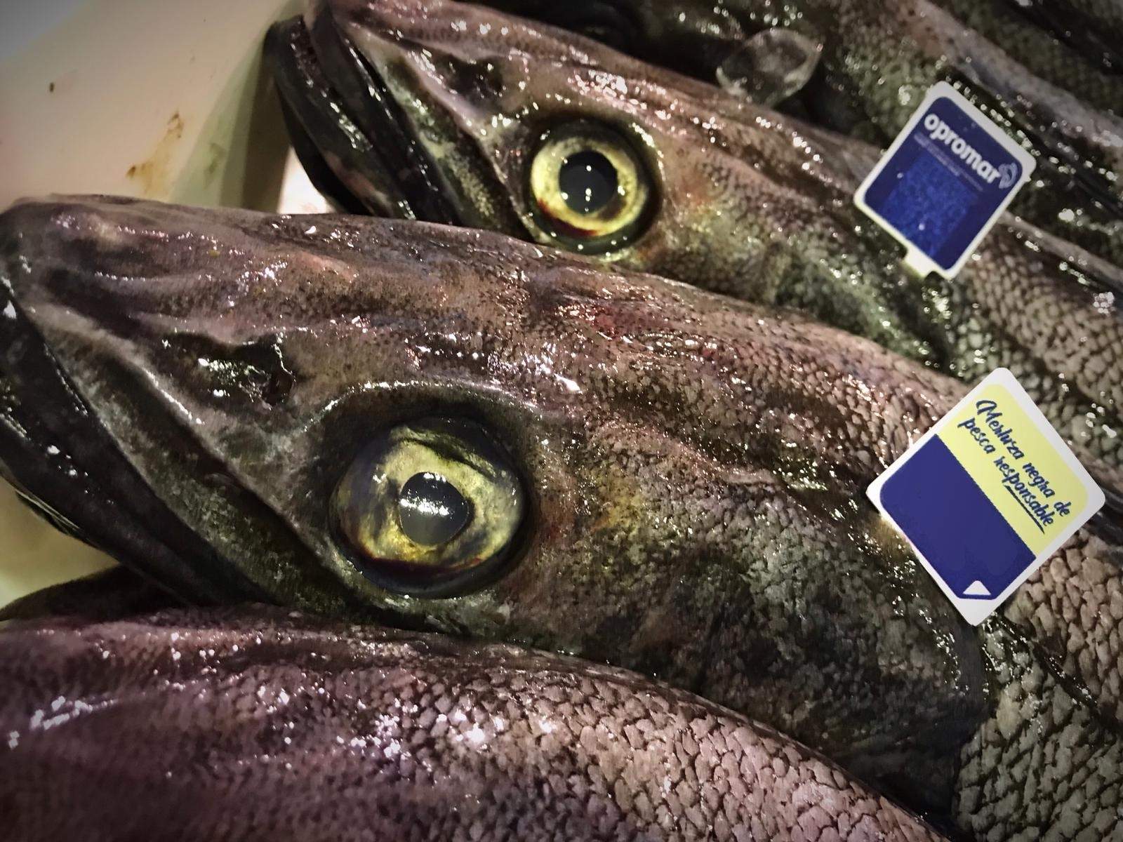 Alerta sanitària "greu" a l'estat espanyol per un peix amb anisakis procedent del Marroc