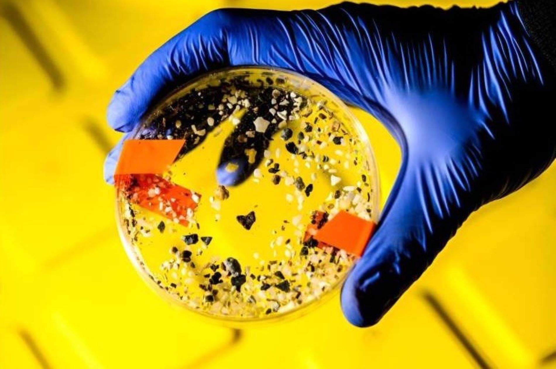 Un estudio encuentra microplásticos en todos los testículos humanos analizados