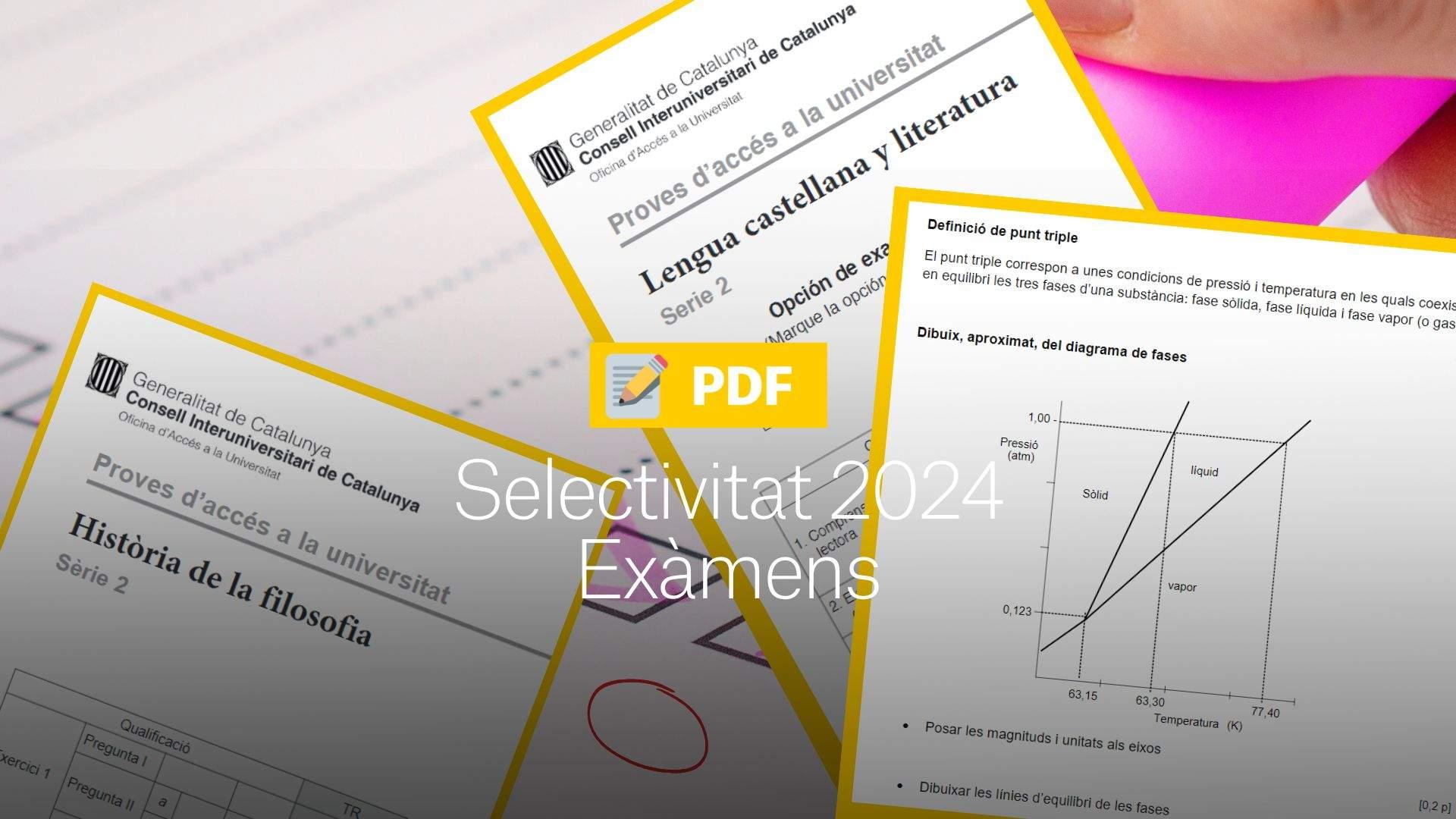 Correccions Selectivitat 2024 en PDF: respostes dels exàmens de les PAU
