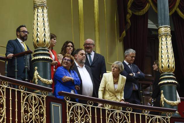 Oriol Junqueras congrés amnistia foto efe