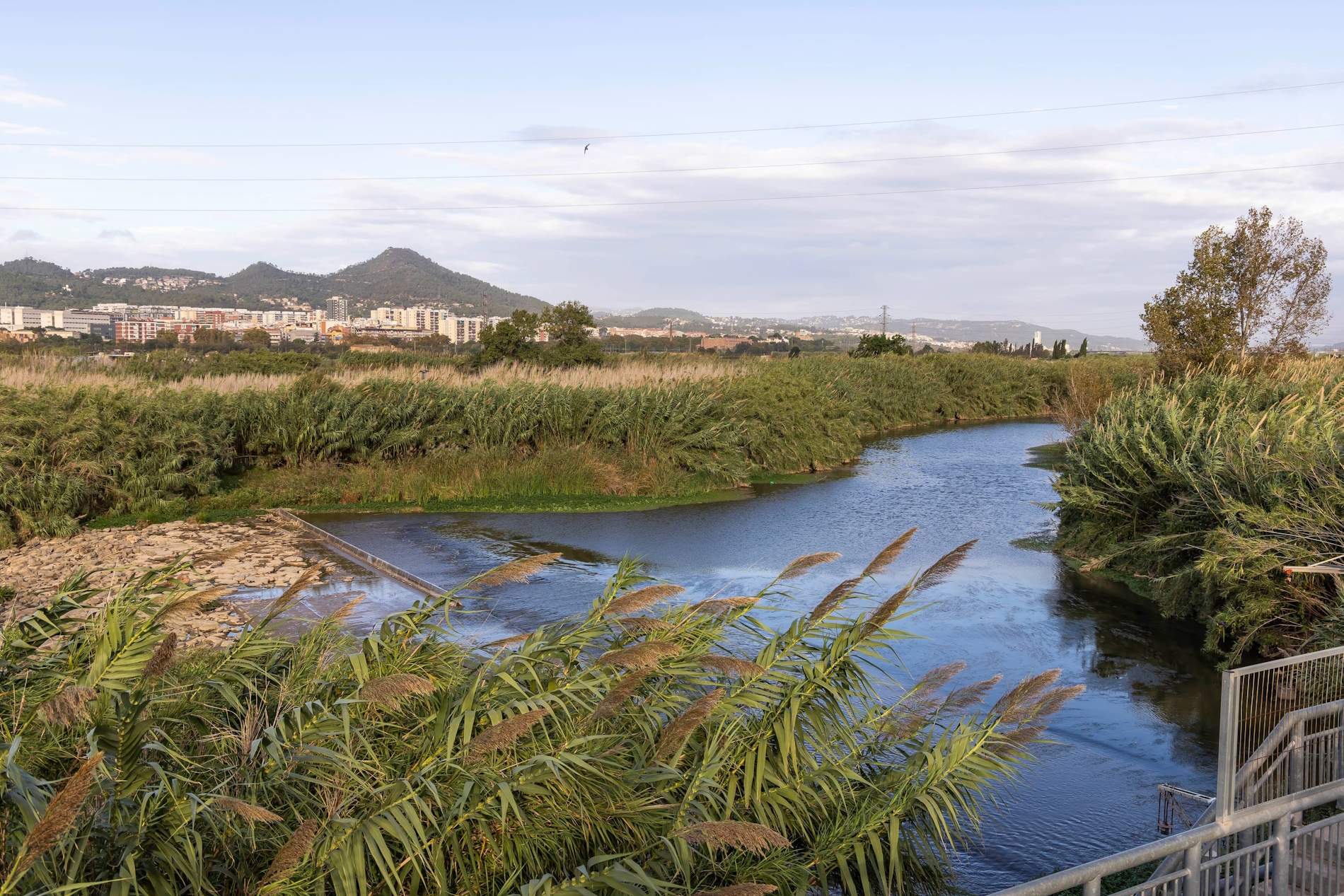 Agua regenerada, la clave sostenible para vencer la sequía