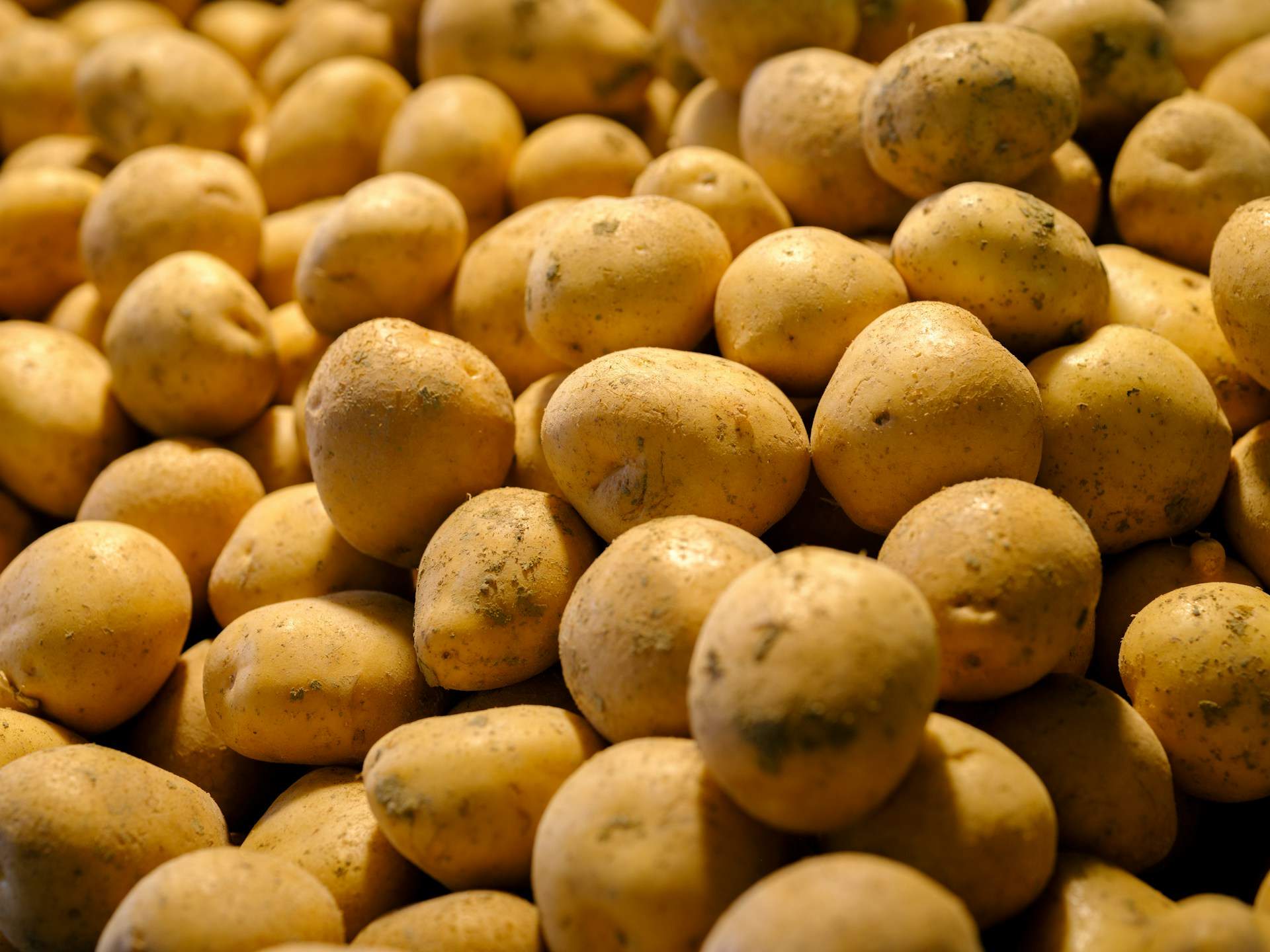 Por qué comer las patatas cocidas frías es mejor para ti