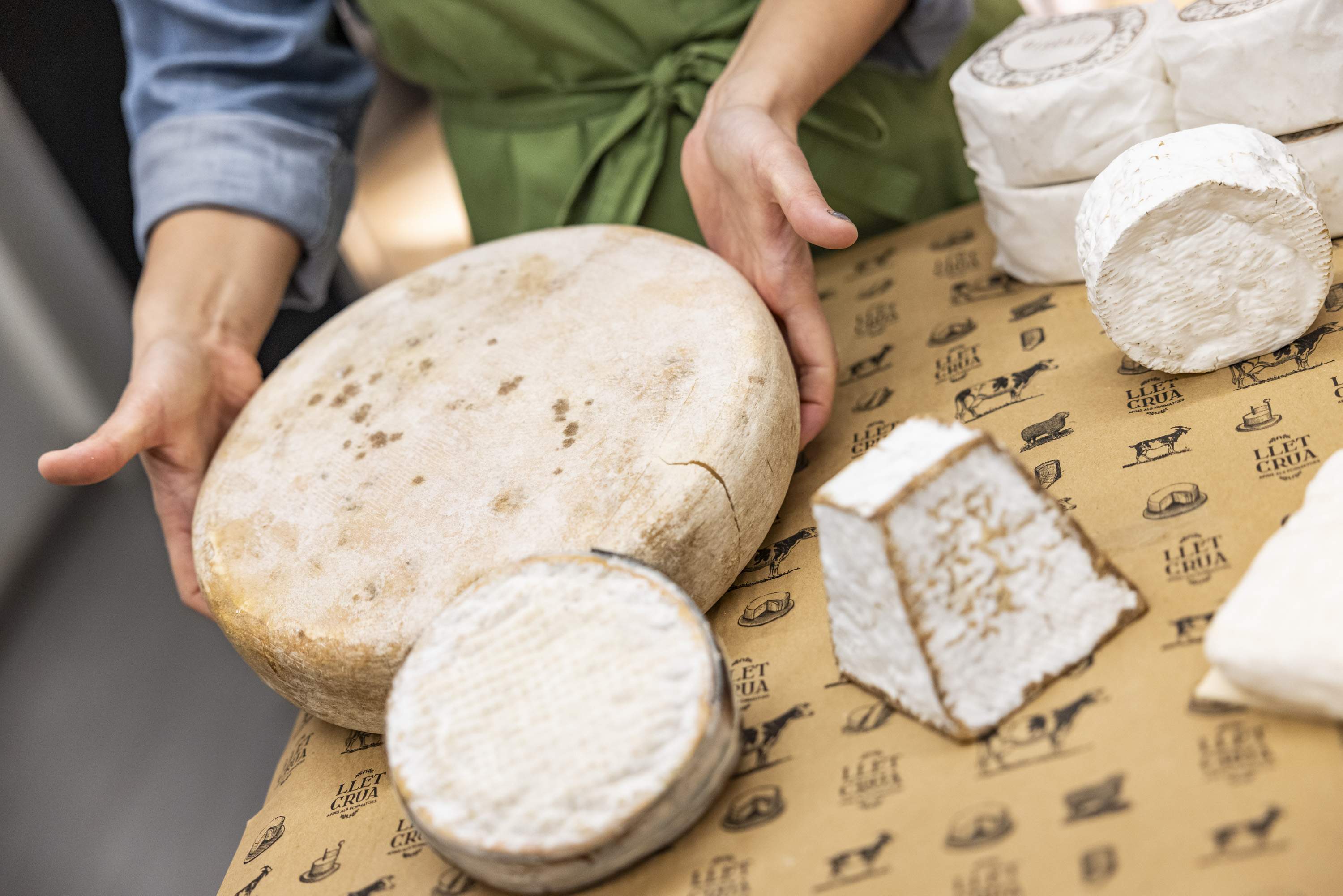 Alternativas a los quesos clásicos: una exquisita selección variada según la receta