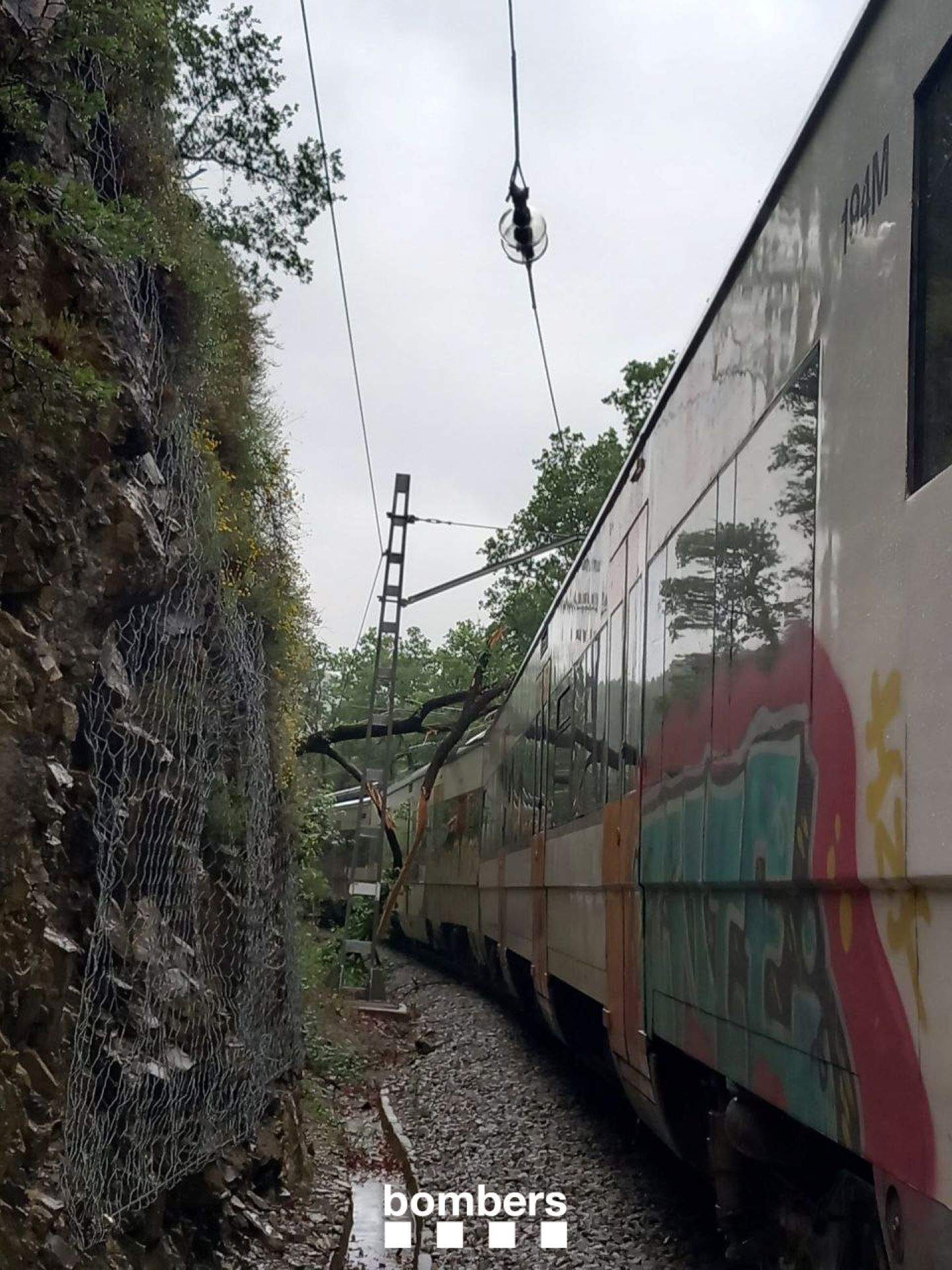 Interrompuda la circulació de l'R3 entre Vic i Ripoll per la caiguda d'un arbre