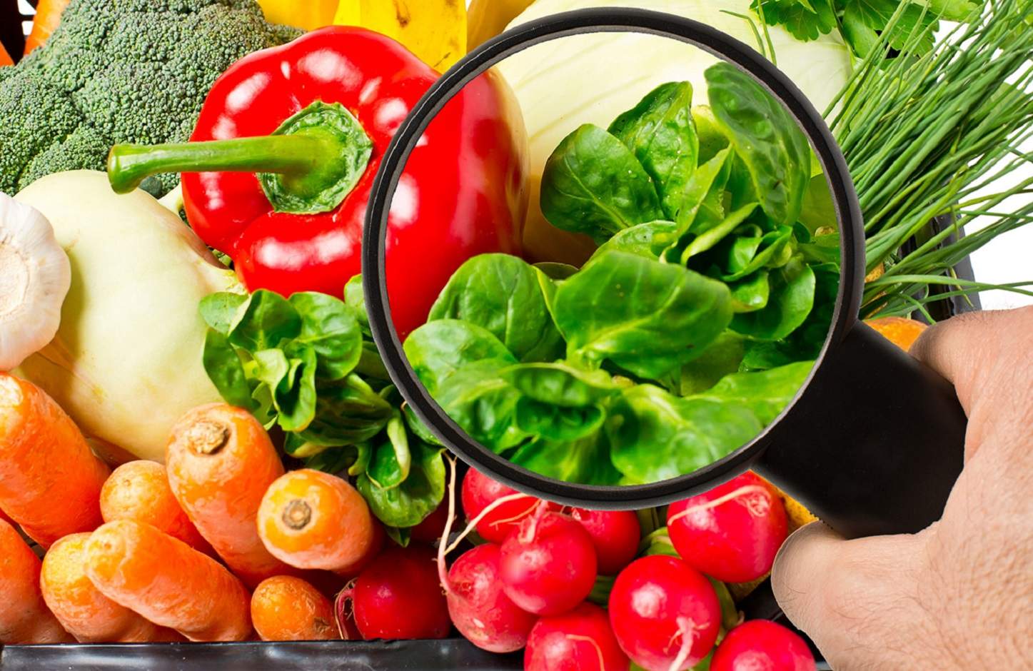 7 consells imprescindibles per evitar intoxicacions alimentàries: amb la salut no s'hi juga!