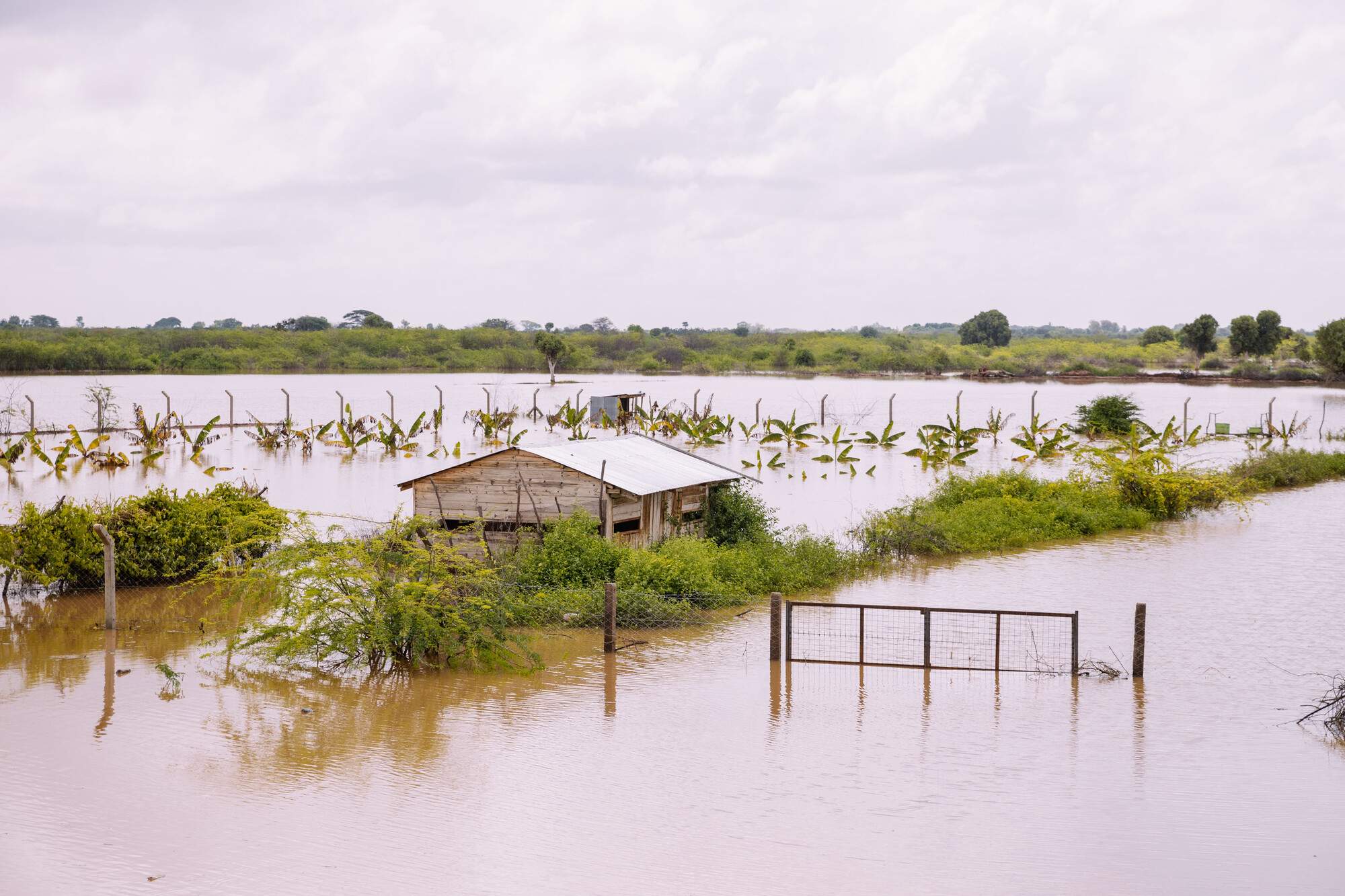 Los desplazamientos de población por inundaciones y sequías aumentan un 120% en el mundo en una década