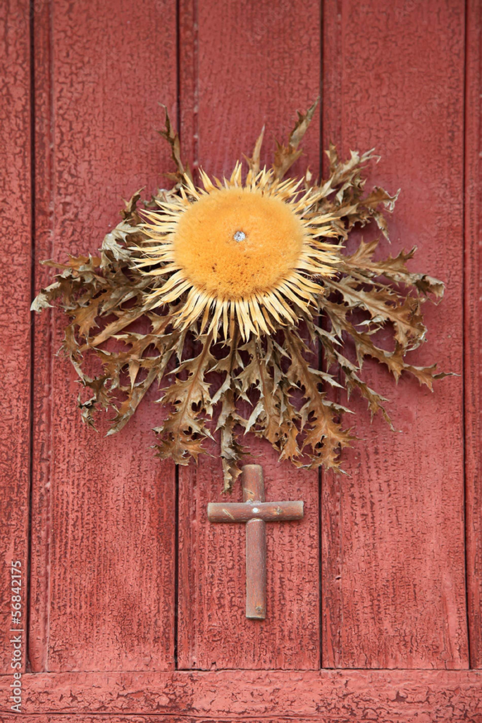 Eguzkilore (la flor que simboliza Eguzki) y que se pone en la puerta de casa para proteger a la familia del demonios. Font Pinterest