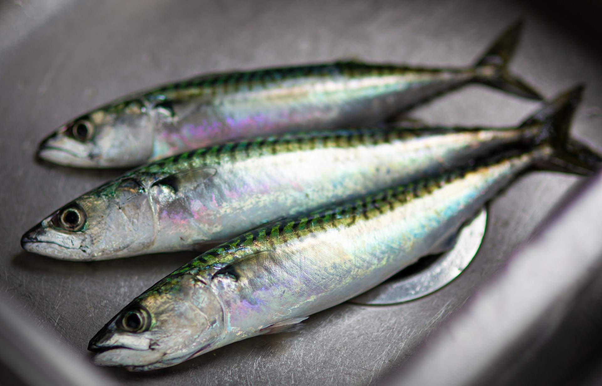 Com netejar sardines: la manera correcta de fer-ho